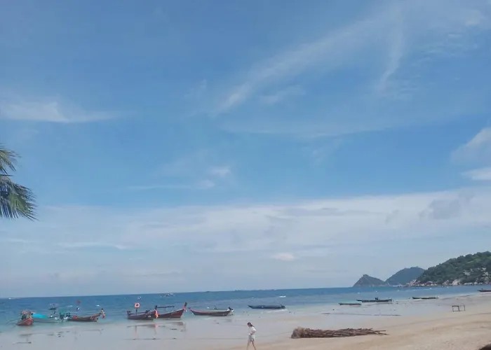 Lotus Hostel Beach Koh Tao